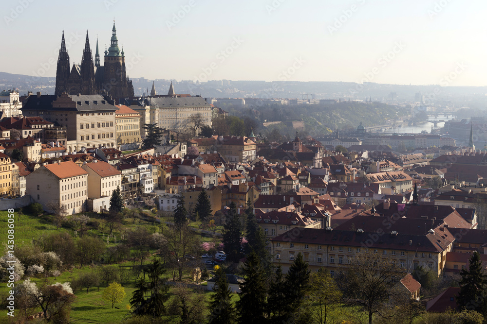 Morning spring Prague City with gothic Castle and the green Nature, Czech Republic