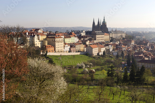 Wallpaper Mural Morning spring Prague City with gothic Castle and the green Nature, Czech Republic Torontodigital.ca