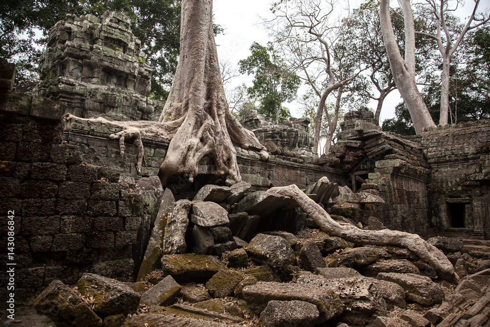 Obraz premium Angkor Wat, Siem Reap, Cambodia