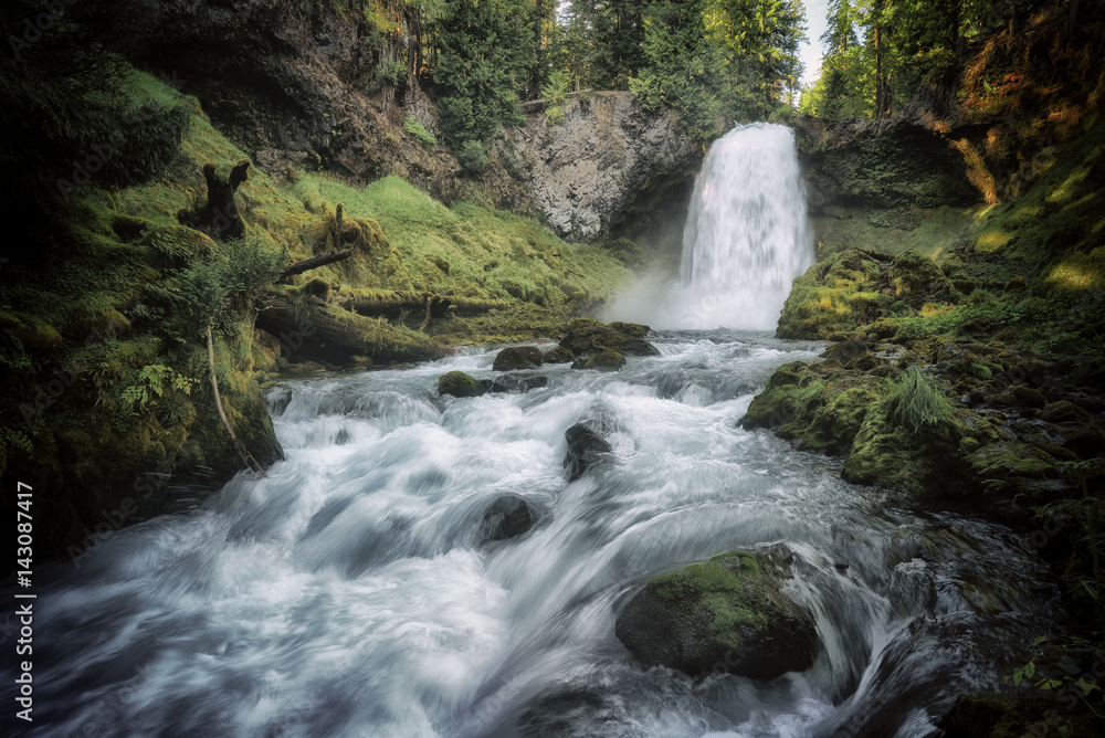 Fototapeta premium Sahalie Falls Waterfall - Willamette National Forest - Oregon