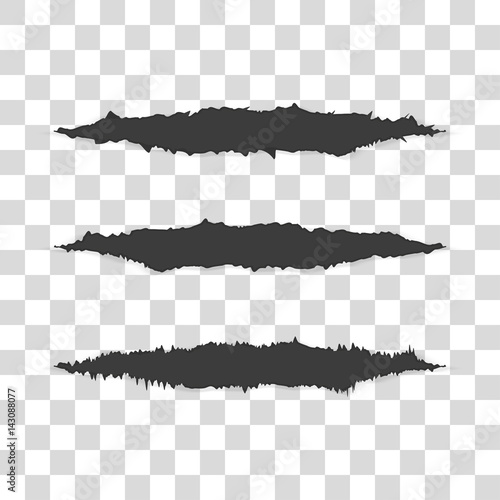 Collection of claw scratches, isolated on transparent background. Set of shredded paper.