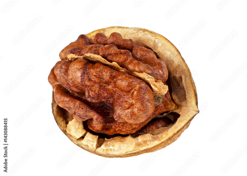 Half walnut isolated on white background Half walnut isolated on white background