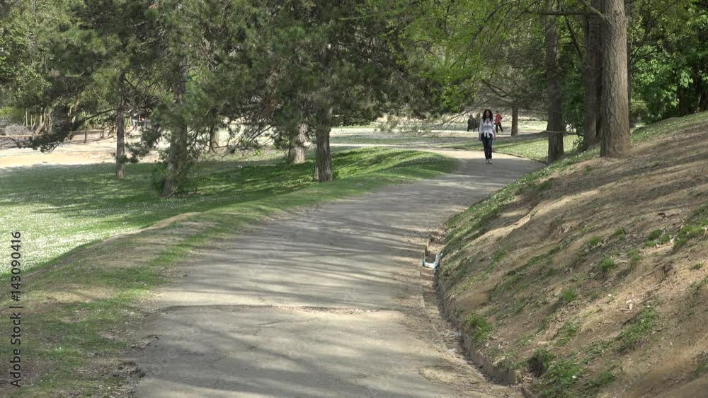 woman on park trail walking in an uphill road while the poplar fluff falls as snow woman on park trail walking in an uphill road while the poplar fluff falls as snow