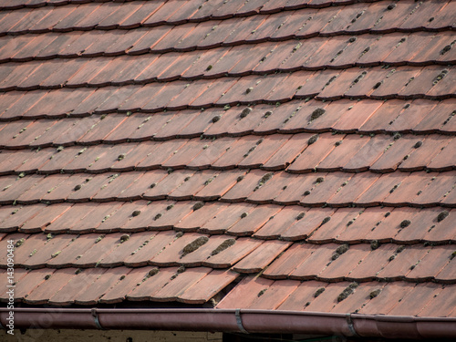Moss auf altem Dach