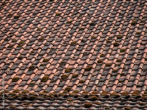 Moss auf altem Dach © focus finder