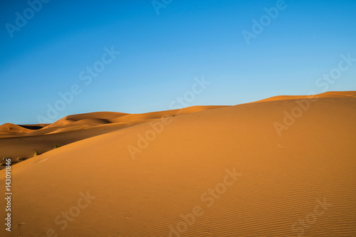 Sahara Desert in Morocco © Lina