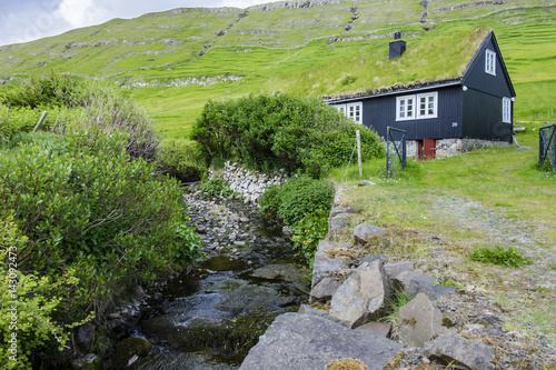 Old House with grassroof photo