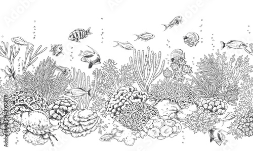 Coral Reef and Fishes Pattern