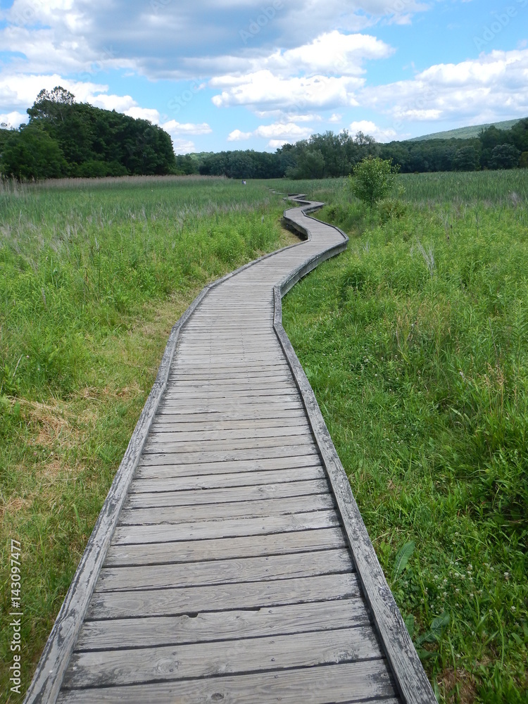 boardwalk, wetland, swamp, appalachian trail, crooked boardwalk, wetland, swamp, appalachian trail, crooked