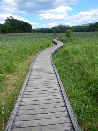 boardwalk  wetland  swamp  appalachian trail  crooked