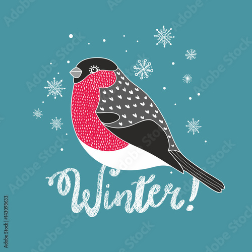 Doodle bullfinch illustration.