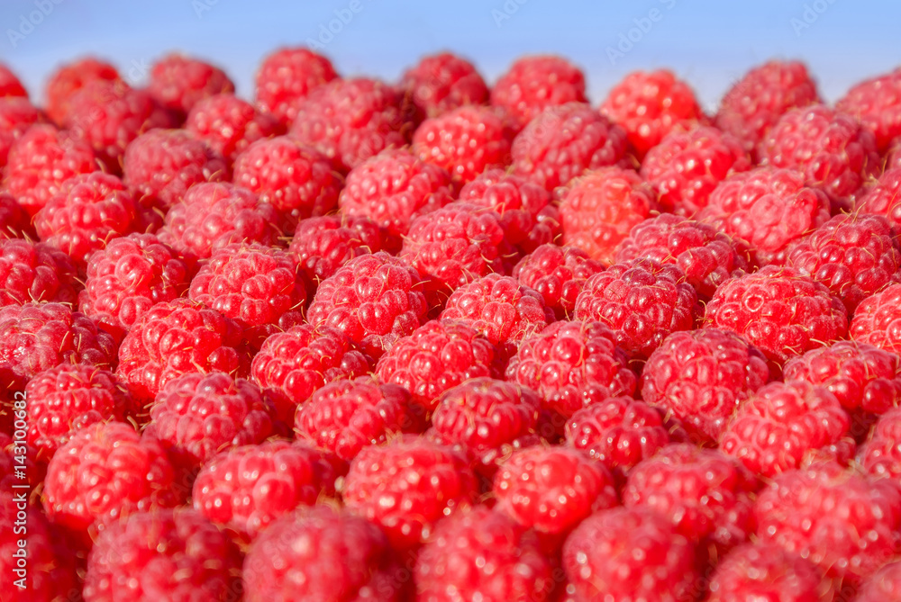 Lots of ripe raspberry, background Lots of ripe raspberry, background