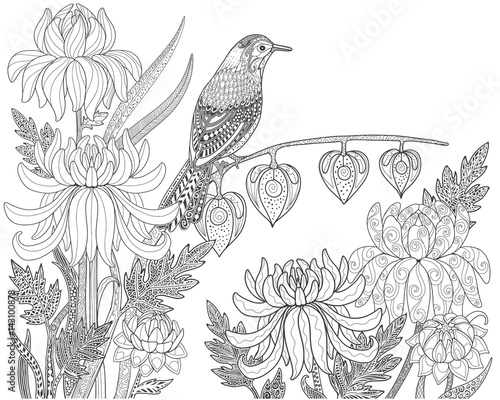 Bird and flower in garden. Page for adult coloring book. Doodle vector illustration.