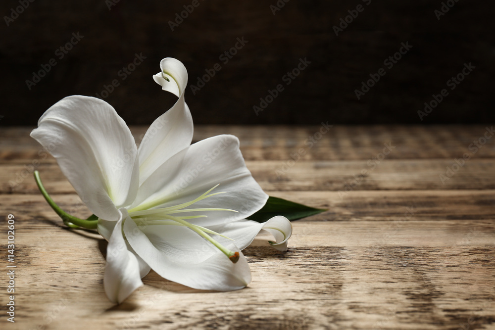 Beautiful white lily on wooden table