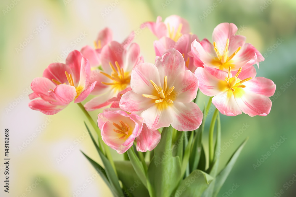 Fototapeta premium Beautiful pink tulips on blurred background