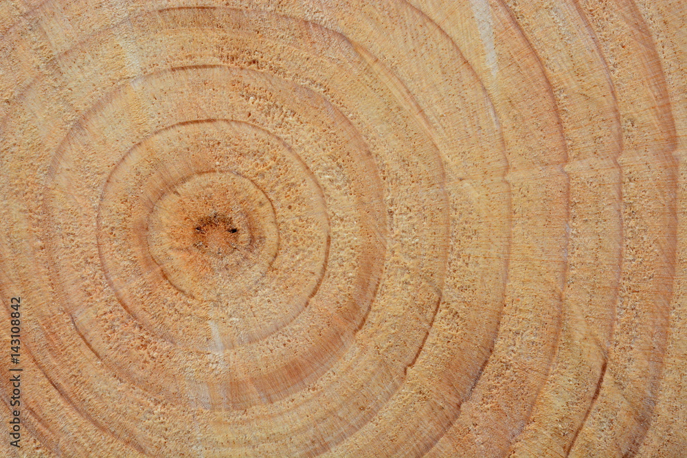 Naklejka premium Madera