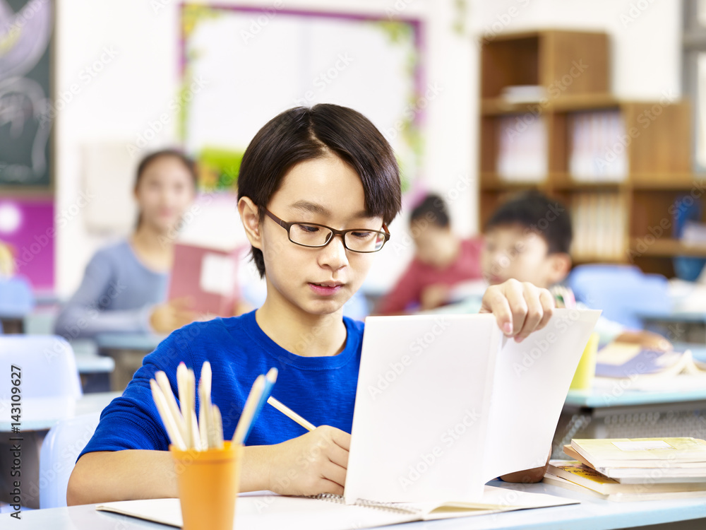 Fototapeta premium asian primary school student studying in class