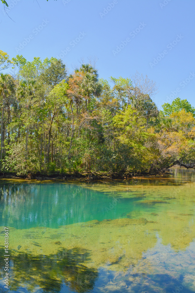 homasassa springs state park in Homasassa, Florida