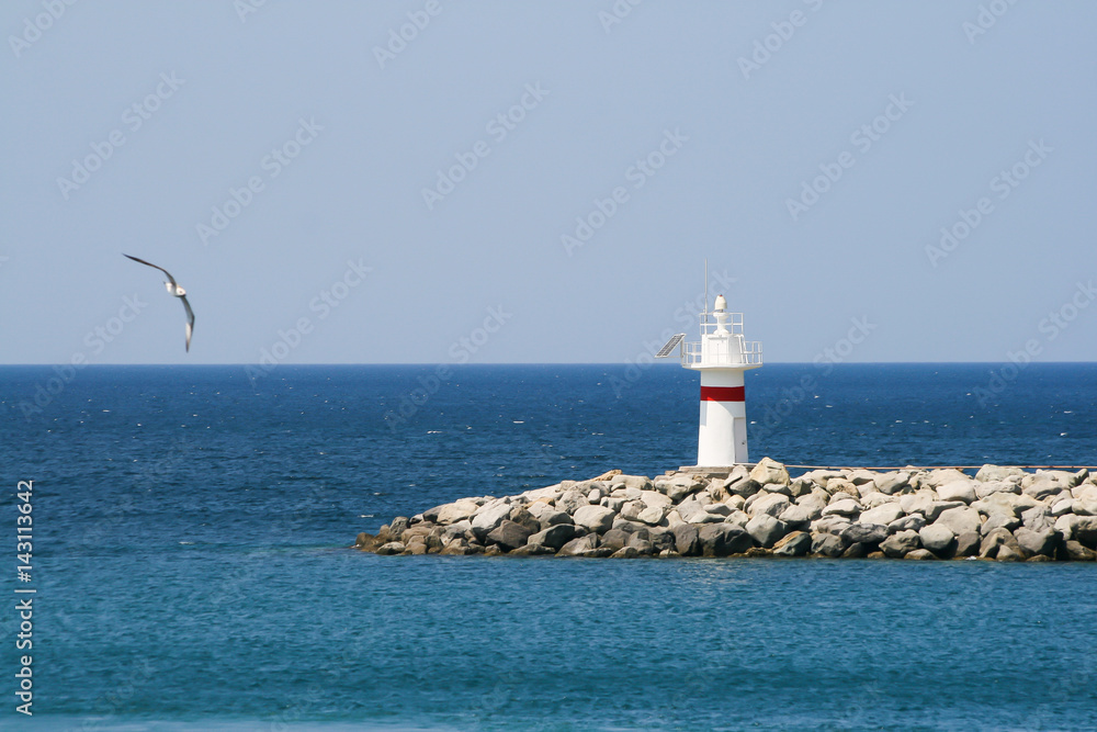 lighthouse with seagull at blue sea and sky