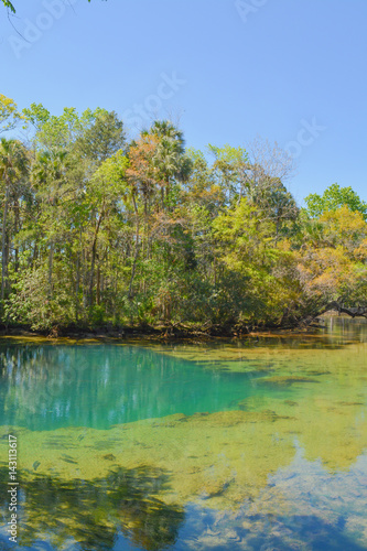 homasassa springs state park in Homasassa  Florida