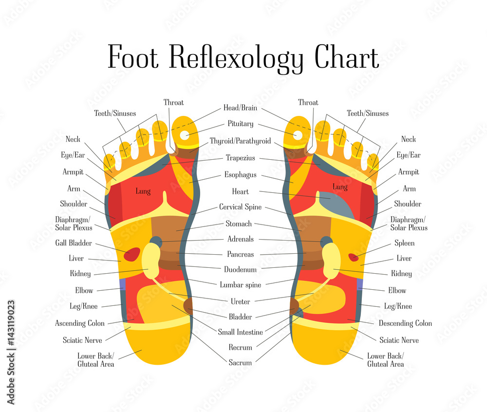 Fototapeta premium Cartoon Reflexology Feet Alternative Medicine. Vector