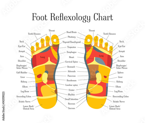 Cartoon Reflexology Feet Alternative Medicine. Vector