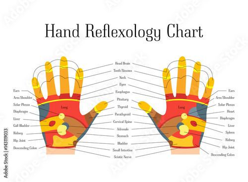 Cartoon Reflexology Hands Alternative Medicine. Vector