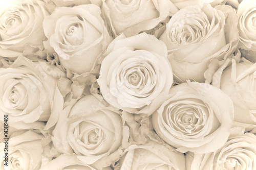 Roses as a background