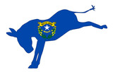 Nevada Democrat Donkey Flag