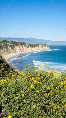 Point Dume in Full Bloom