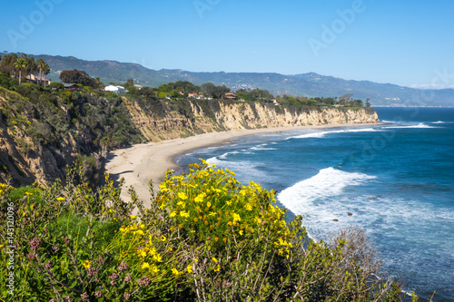 Point Dume in Full Bloom photo