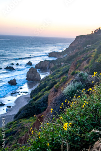 Point Dume in Full Bloom