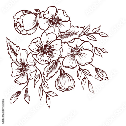 Wild rose flowers and branches with leaves. Hand drawn vector illustration.