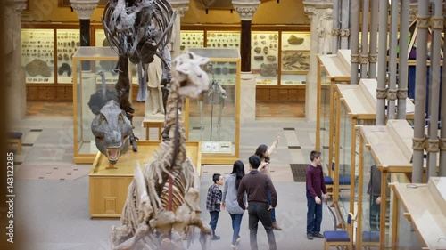  Families visiting a Natural History museum looking at the dinosaur exhibits photo
