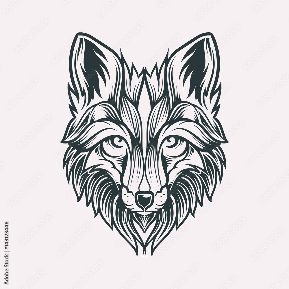 Abstract head fox hand draw