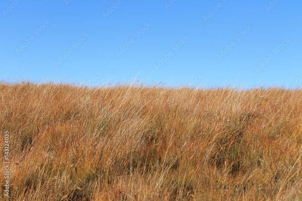 ミーヴァトン湖付近の風景