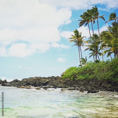 Oahu Seascape North Shore