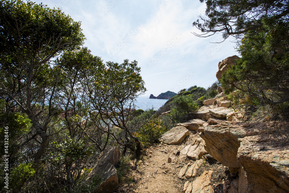 Su Sirboni beach, Ogliastra, Sardinia