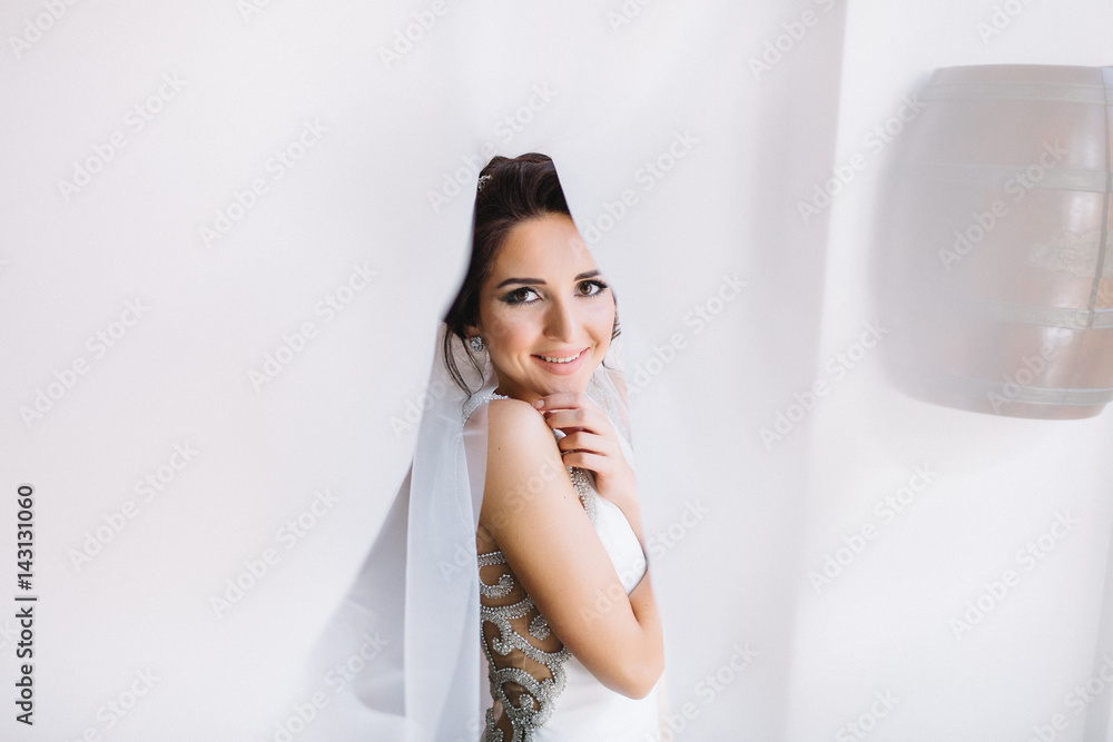 White veil covers stunning bride in dress with crystals White veil covers stunning bride in dress with crystals