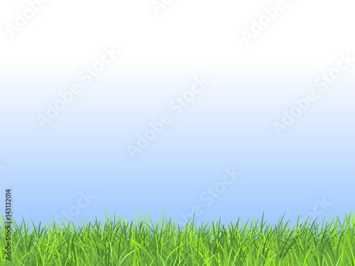 Summer field with fresh green grass and blue sky. Natural vector background 