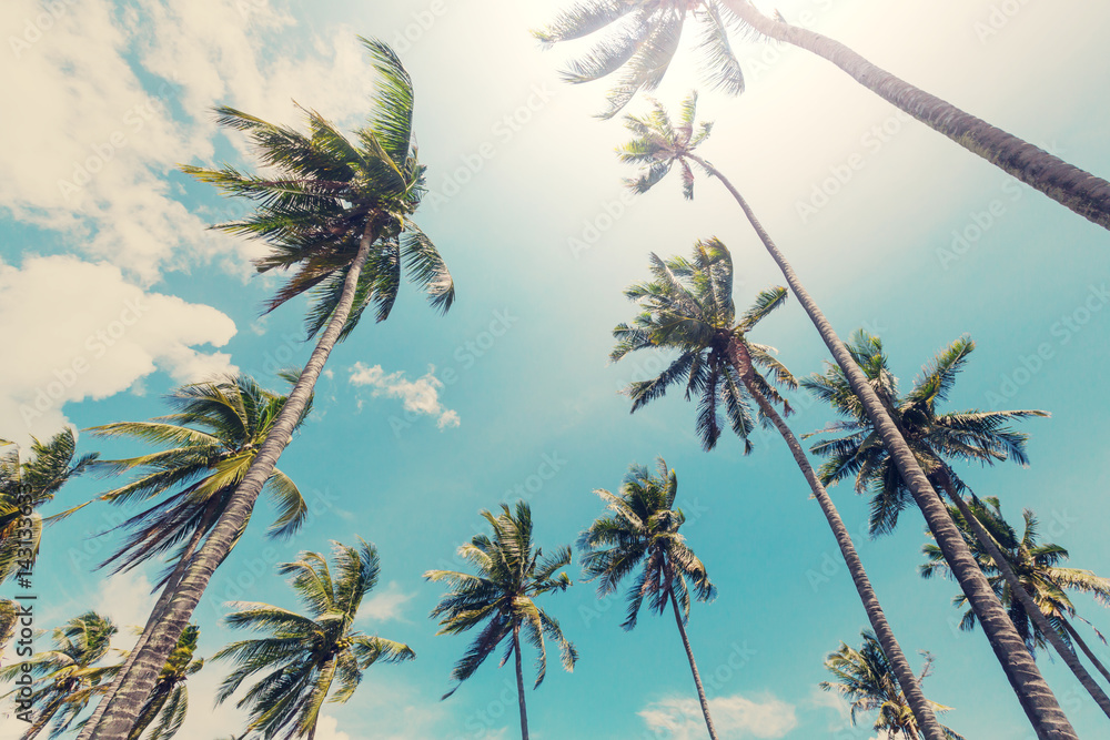 Fototapeta premium Tropical beach