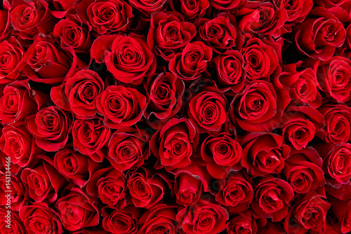 Fototapeta Naklejka Na Ścianę i Meble -  Natural red roses background