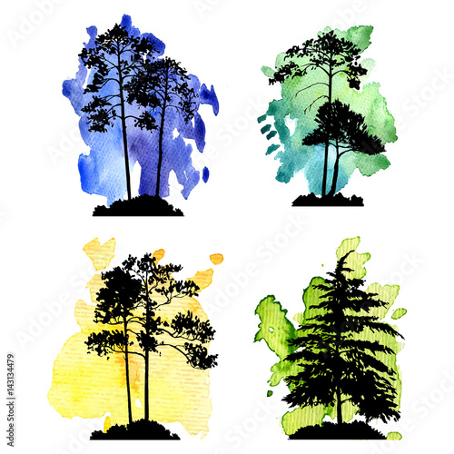 vector set of conifer trees