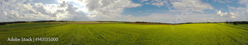 Aerial view of amazing summer landscape. Fields and meadows from above. Panorama.