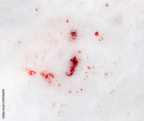 red blood on the snow © schankz
