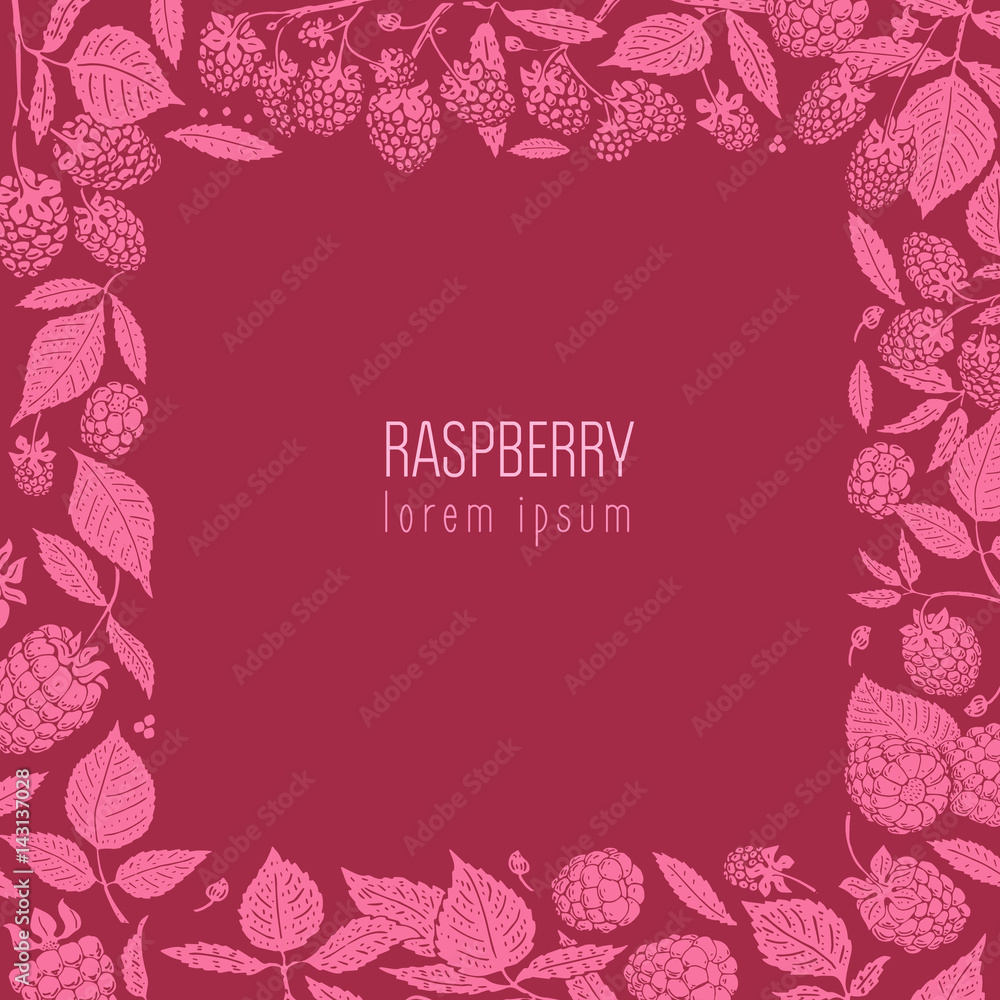 vector raspberry frame. Can be use for background, design, invitation, banner, cover. Vintage hand drawn illustrations