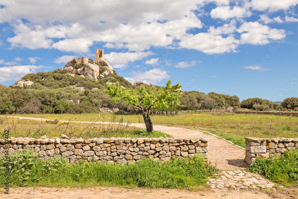 Castle of Pedres - Olbia Sardinia
