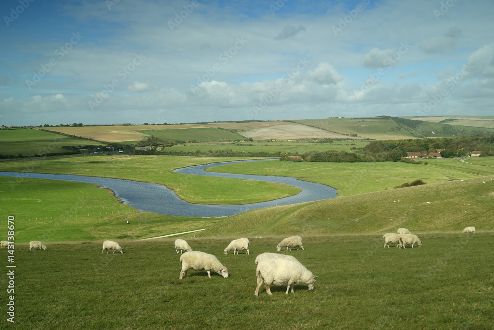 Obraz premium River Cuckmere, East Sussex, England, Uk