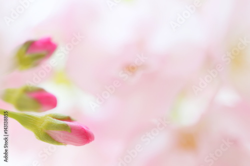 桜 © patchii