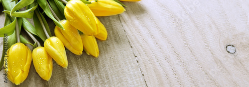 Yellow tulip bouquet isolated .